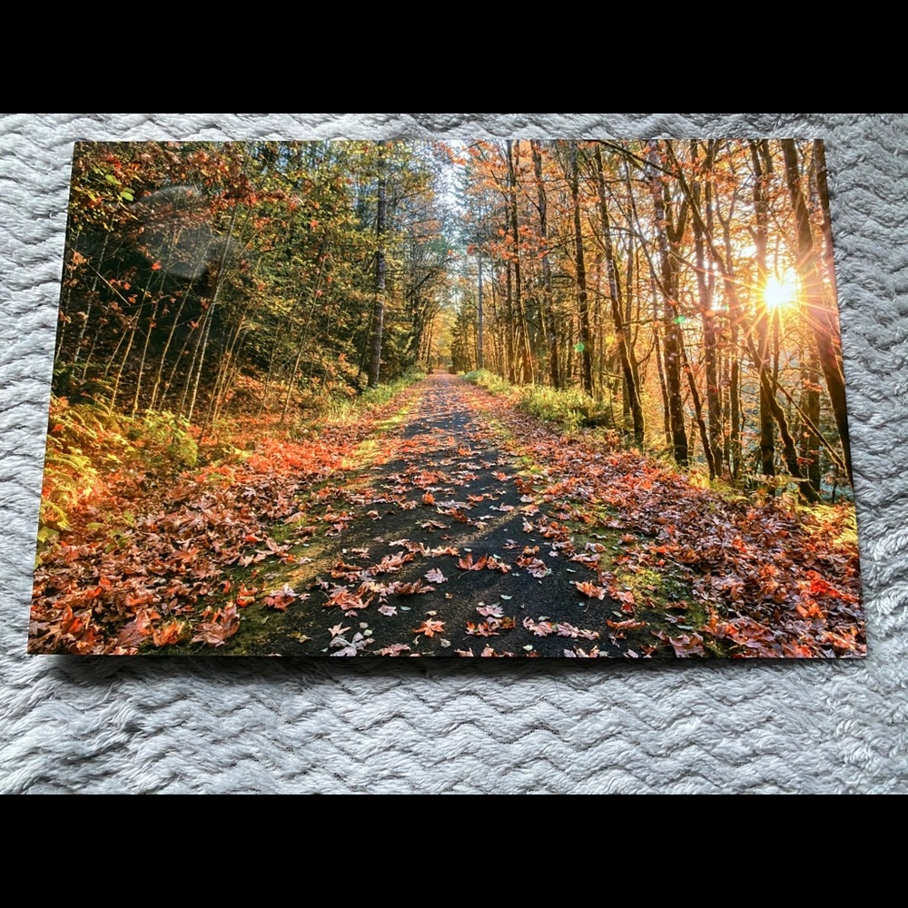🎄NEW🎄 stunning screenprinted picture